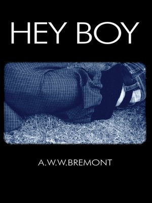 cover image of Hey Boy
